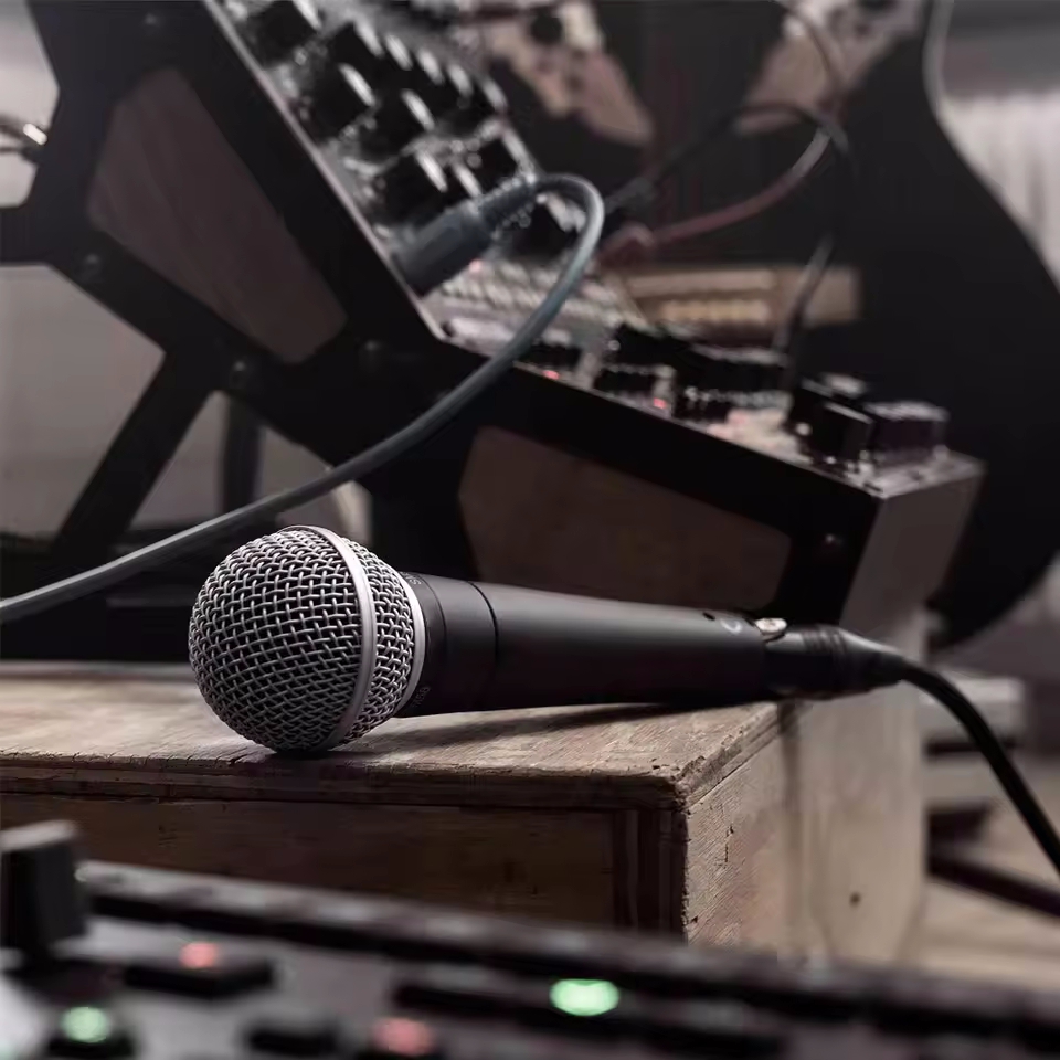 Karaoke Dynamische Microfoon P - Shure Mic Sm58 recensie en prijs